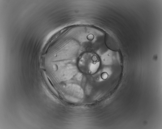 X0000115200838200911251441