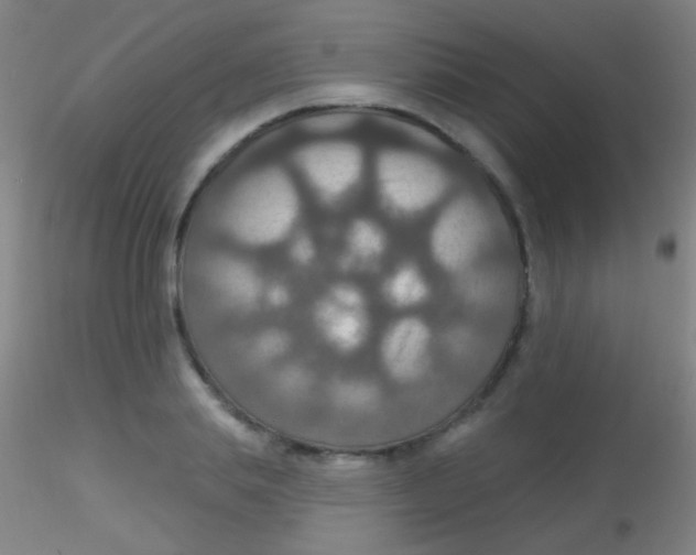 X0000115200839200911251441