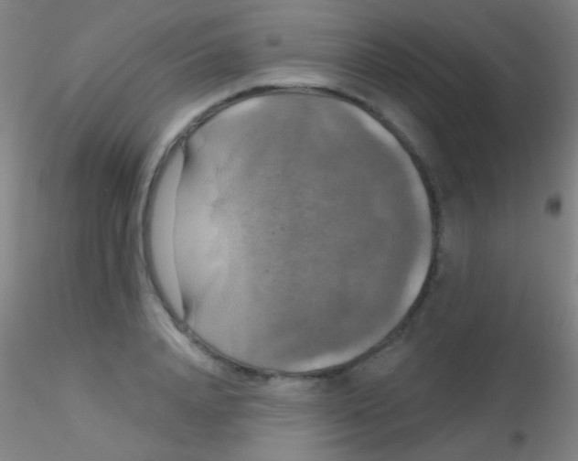 X0000115200840200911251441
