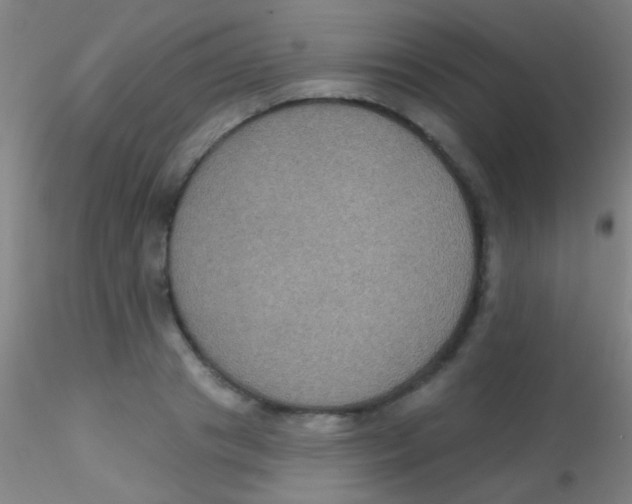 X0000115200841200911251441