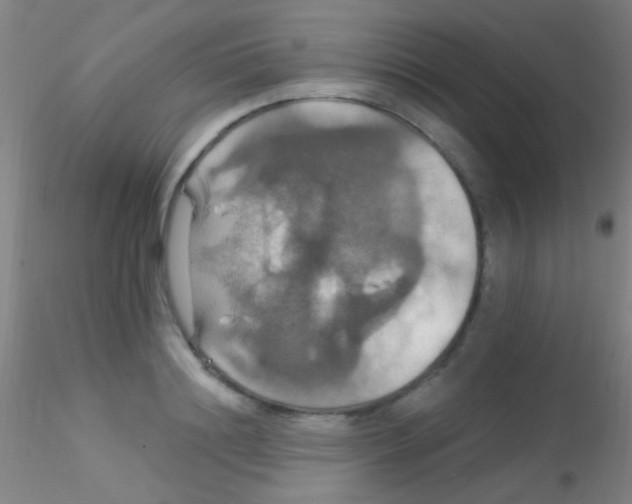 X0000115200844200911251441
