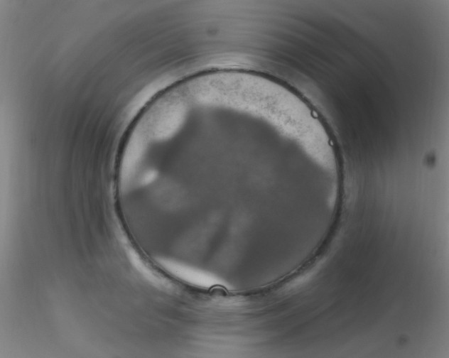 X0000115200845200911251441