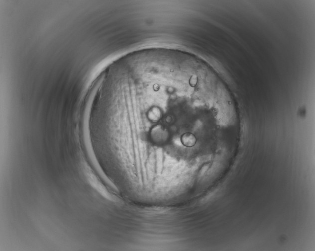 X0000115200846200911251441