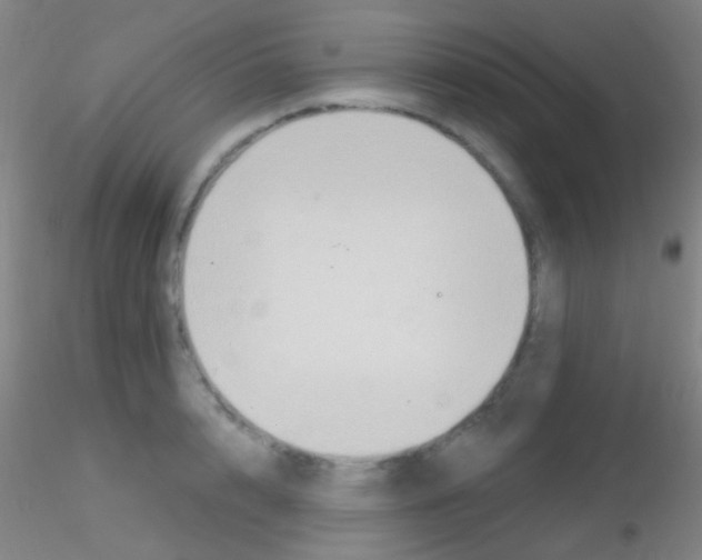 X0000115200848200911251441
