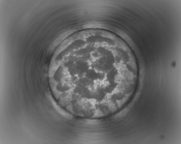 X0000115200849200911251441