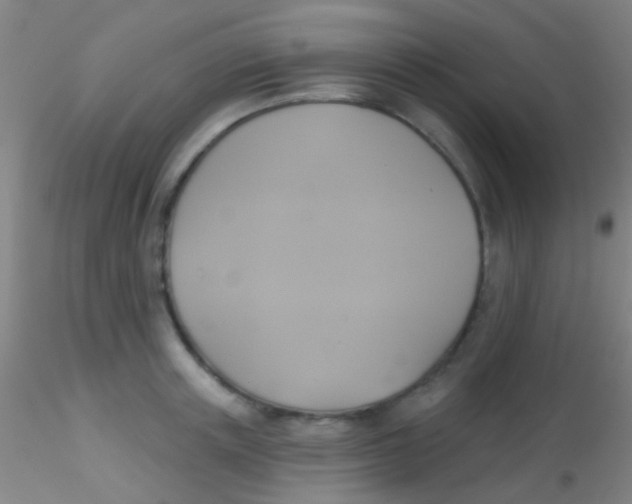 X0000115200851200911251441