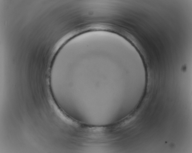 X0000115200853200911251441