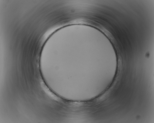 X0000115200854200911251441