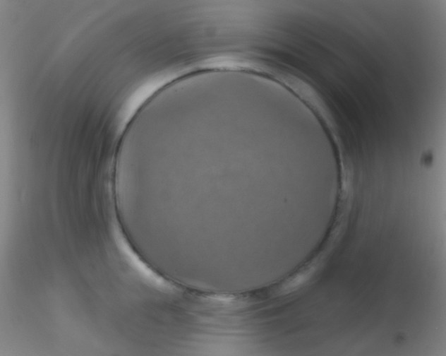 X0000115200855200911251441