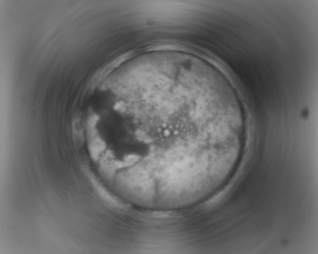 X0000115200857200911251441
