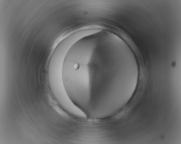 X0000115200858200911251441
