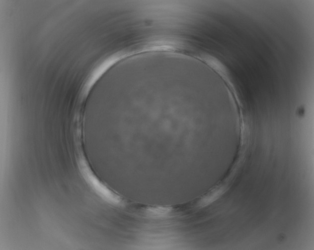 X0000115200859200911251441