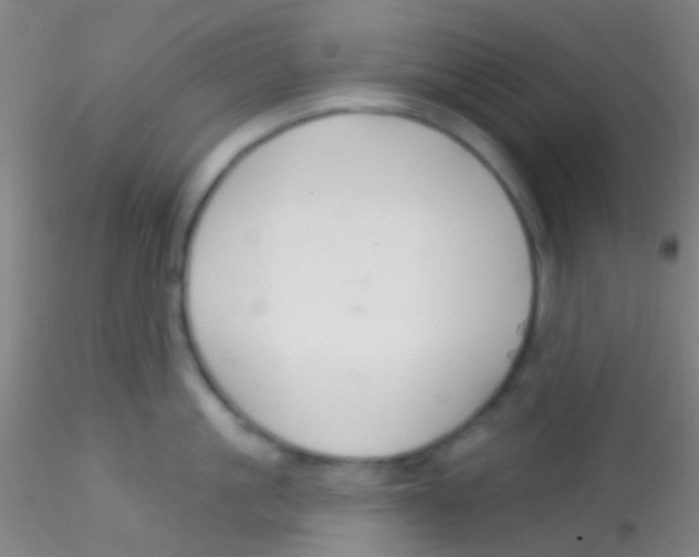 X0000115200861200911251441