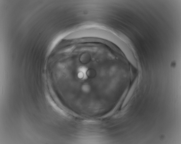 X0000115200863200911251441