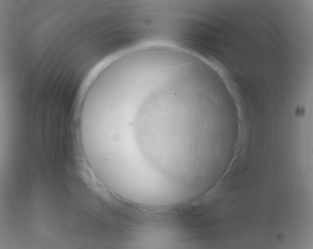 X0000115200864200911251441