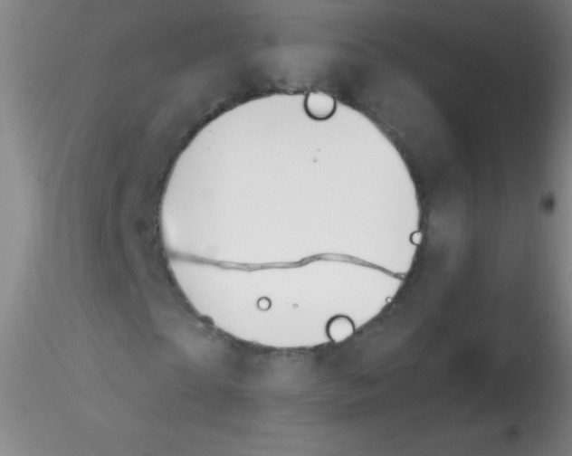X0000115200865200911251440