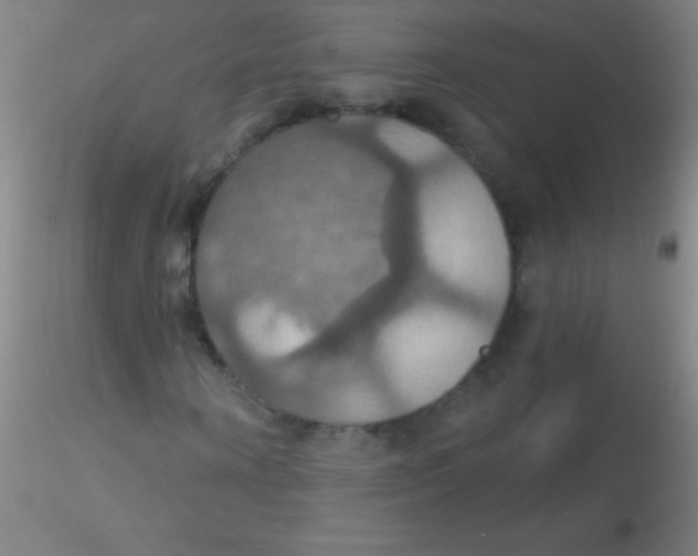 X0000115200866200911251440