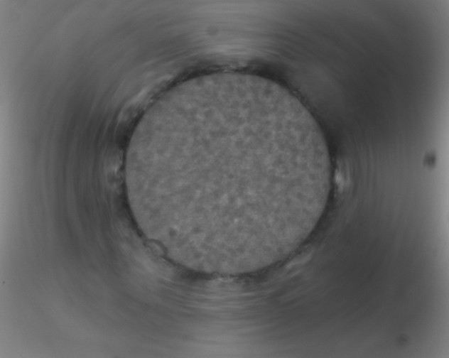 X0000115200867200911251440