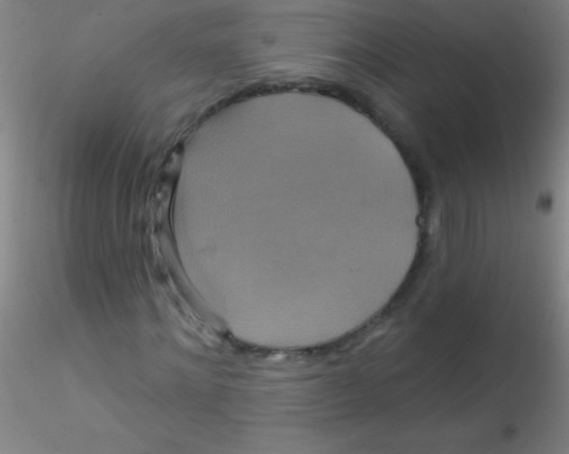 X0000115200868200911251440
