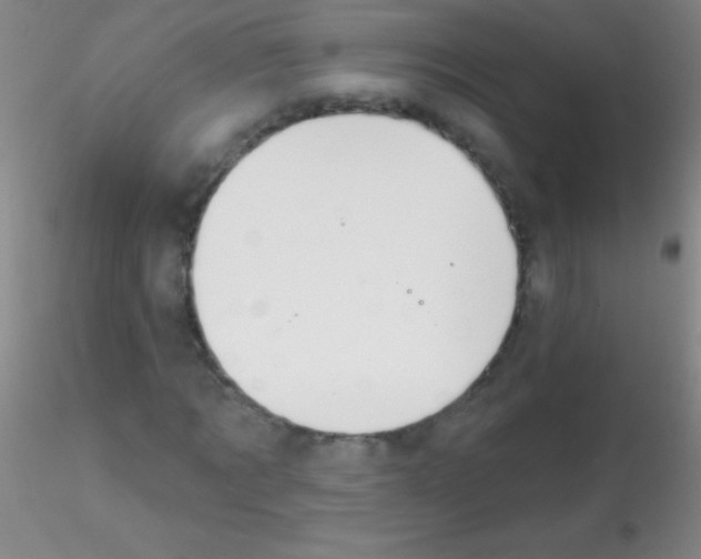X0000115200869200911251440