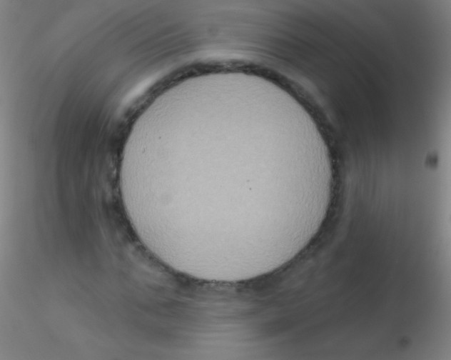 X0000115200871200911251440