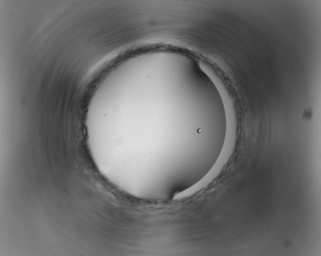 X0000115200872200911251440