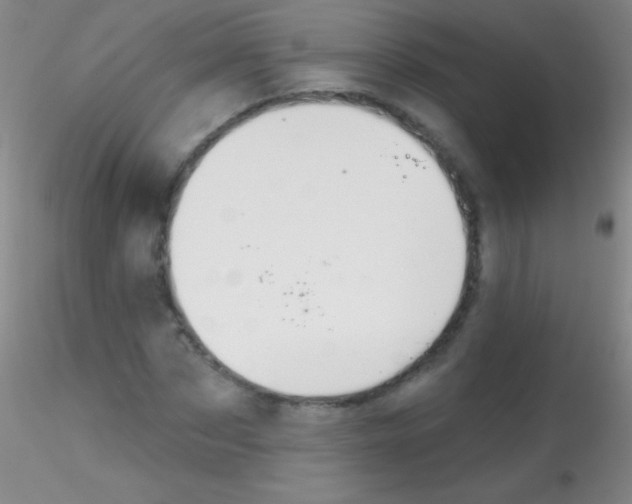X0000115200873200911251440
