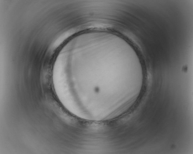 X0000115200874200911251440