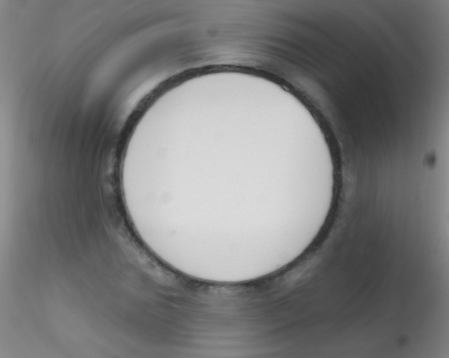 X0000115200875200911251440