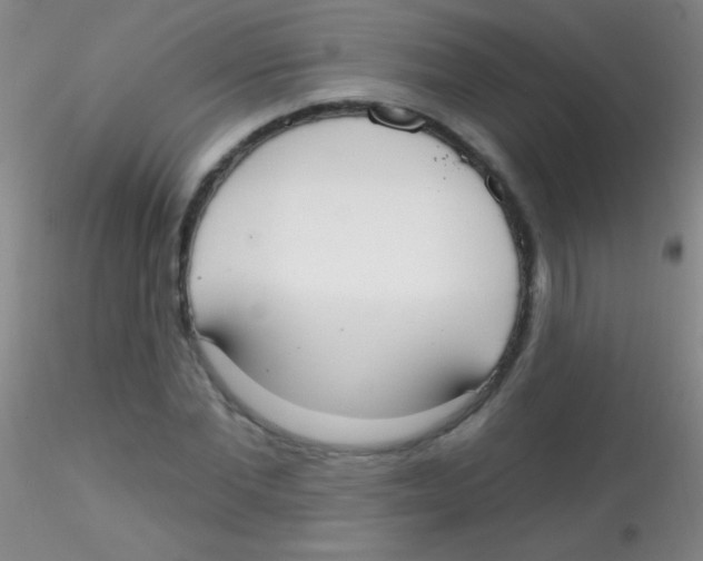 X0000115200877200911251440