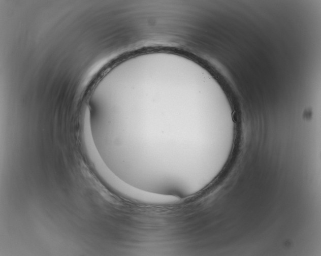X0000115200878200911251440