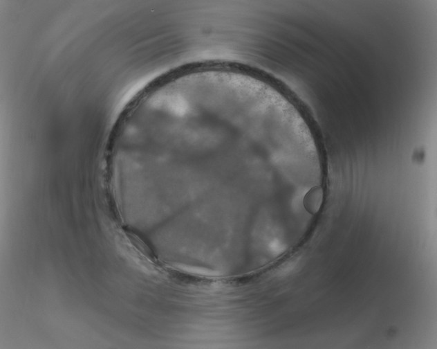 X0000115200879200911251440