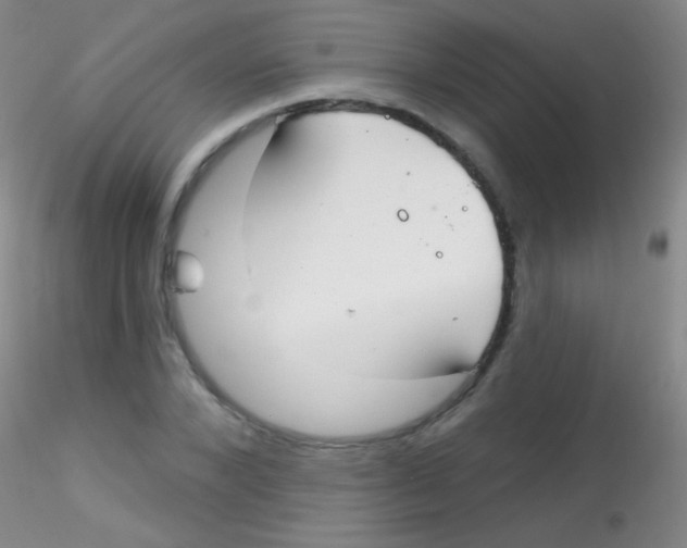 X0000115200880200911251440