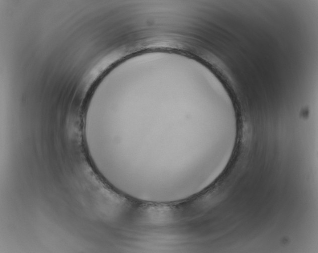 X0000115200882200911251440