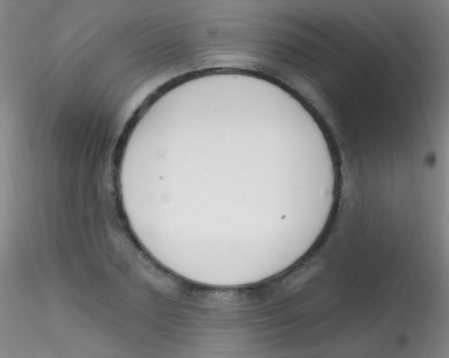 X0000115200883200911251440