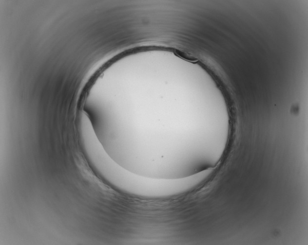 X0000115200884200911251440