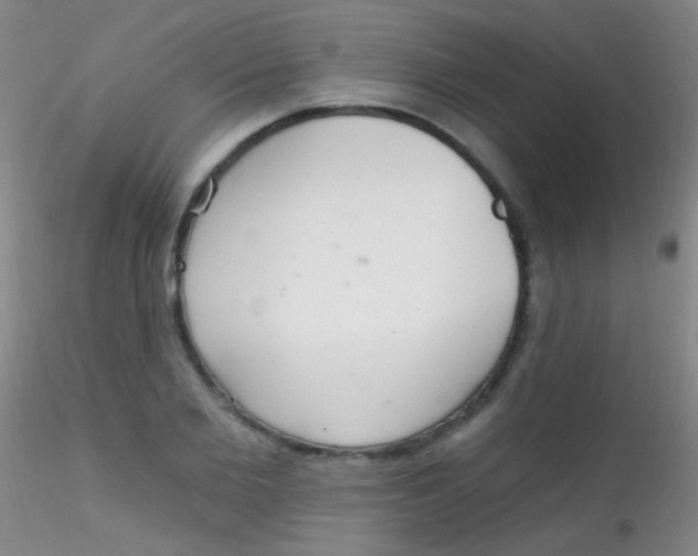 X0000115200885200911251440