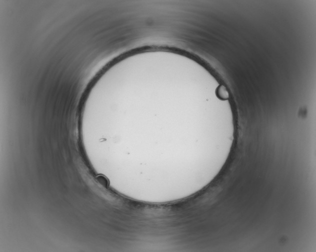 X0000115200887200911251440