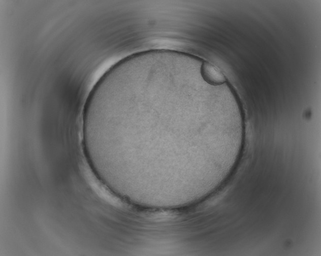 X0000115200891200911251440
