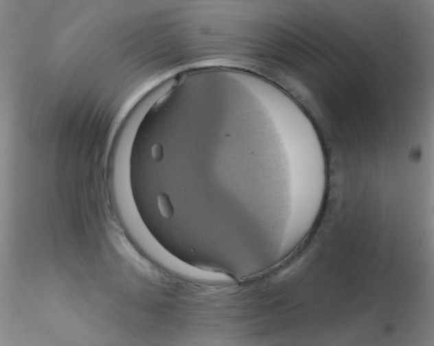 X0000115200892200911251440