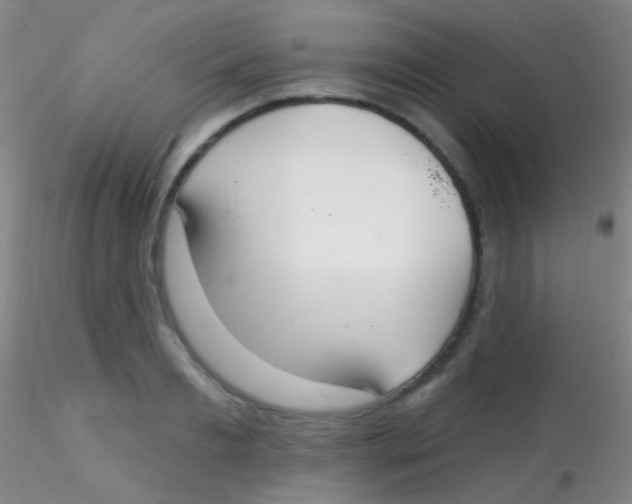 X0000115200893200911251440
