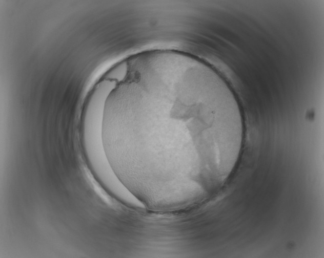X0000115200894200911251440