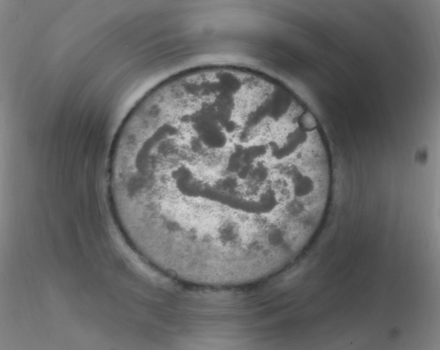 X0000115200895200911251440