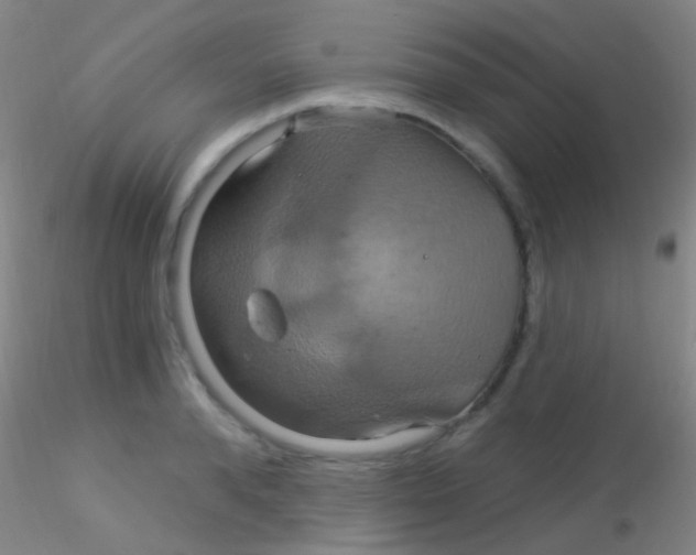 X0000115200896200911251440