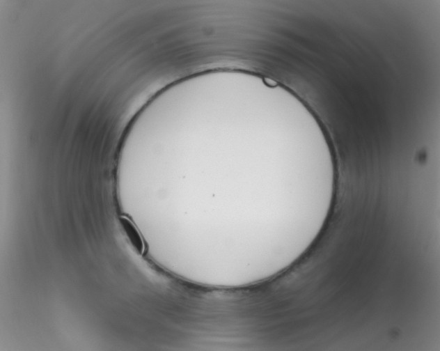 X0000115200898200911251440