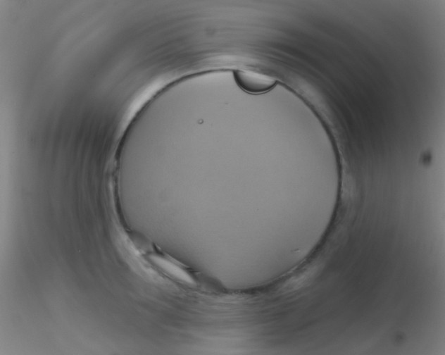 X0000115200899200911251440