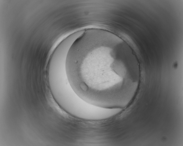 X0000115200900200911251440