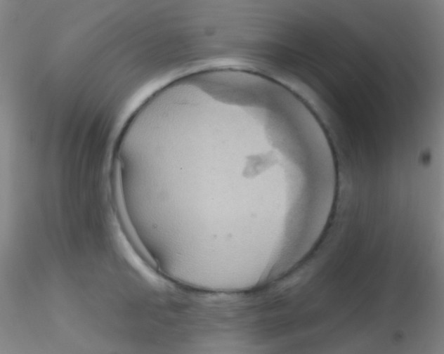 X0000115200902200911251440