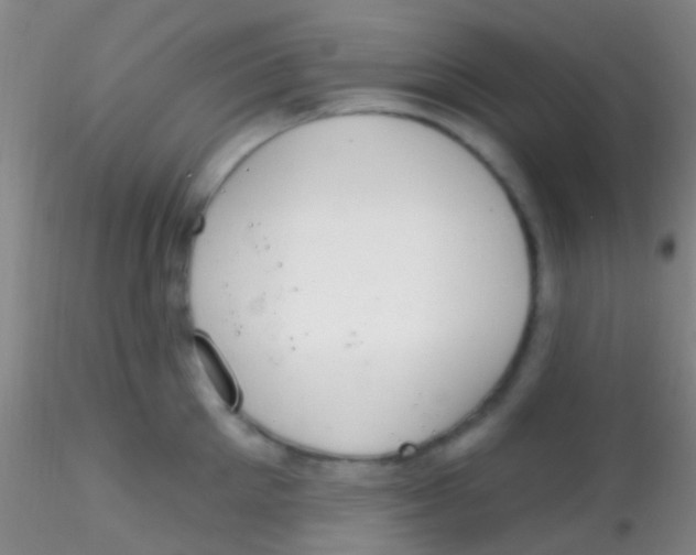 X0000115200905200911251440