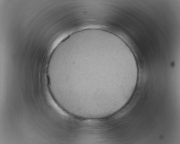 X0000115200906200911251440